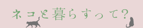 ネコと暮らすって？